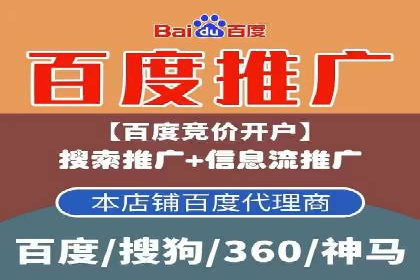 行业领先企业的SEM竞价代运营案例解析